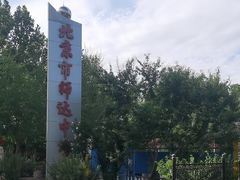 -北京市师达中学