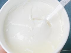 原味酸奶-蒙醇鲜酿酸奶