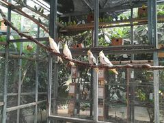 -呀路古热带植物园