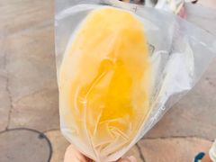 -飞天翼龙