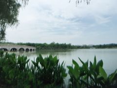 -昆山城市生态森林公园