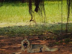 -白沙门生态公园