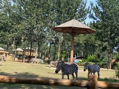 -大连森林动物园