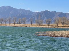 -野鸭湖国家湿地公园