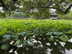 -西湖游船
