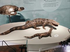 -中国湿地博物馆