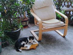 -行人小筑·茶馆(岑村火炉山分店)