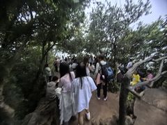 -普者黑风景区-青龙山
