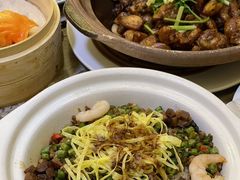 -茶港·点心·啫啫煲(范湖万达广场店)