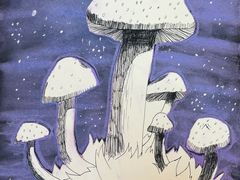 -大卫美术教育(中南路校区)