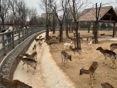 -太原动物园