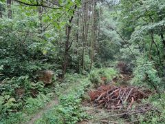 -黄陂区野村谷景区