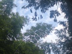 -峨眉山报国寺