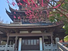 -范蠡湖公园