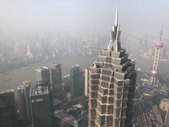 -上海柏悦酒店·世纪100牛排馆