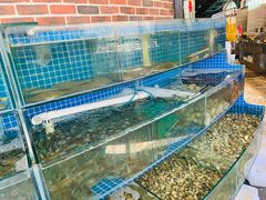 -蟹谢蒸鲜自助餐厅