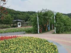-龙寺生态园