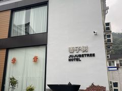 -枣子树·素食餐厅(普陀山店)