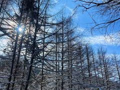 -秦岭风景区