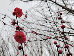 -南湖湿地公园