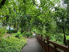 -广东花都湖国家湿地公园