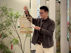 -假装苏杭·迎春花与梅(陆家嘴中心店)