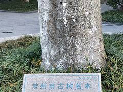 -常州古运河南大街文化旅游区-人民公园