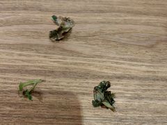 面汤里的烂香菜-厝内小眷村(天河南一路店)