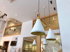 大堂-ICEPOPO MILK(玉兰店)