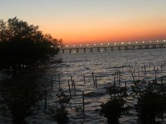 -宝安西湾红树林湿地公园