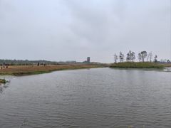 -春花秋色城市公园