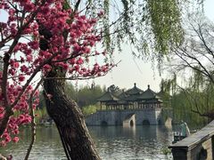 -蜀冈西峰生态公园