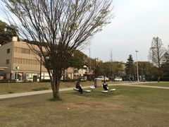 -金泽21世纪美术馆