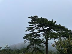 -含鄱口
