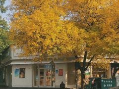 -好利来(槐中店)