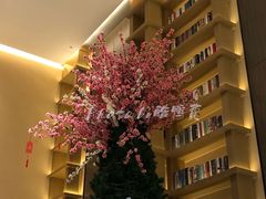 -深影国际影城(学院南路店CGS中国巨幕店)