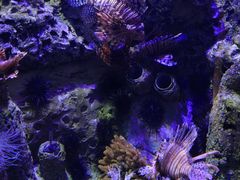 -太平洋海底世界