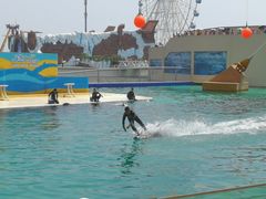 -秦皇岛乐岛海洋王国