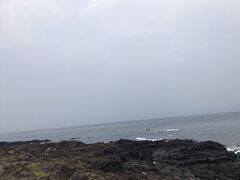 -涉地可支
