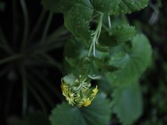 -见山茶事(丽水路店)