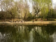 -团结湖公园