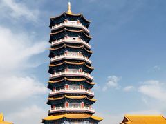 -金塔沙漠胡杨林景区