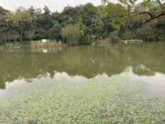 -八卦田遗址公园