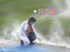 -荷兰花海
