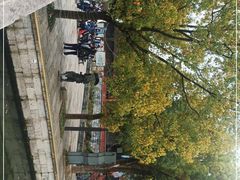 -鲁镇