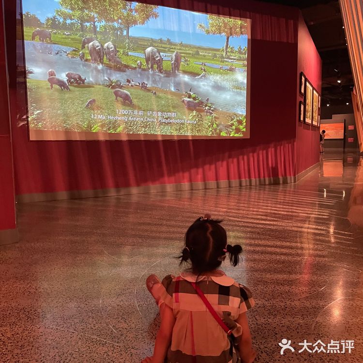 今天带小朋友溜达了一下上海自然博物馆 感慨有二：