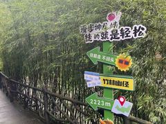 -神龙峡风景区