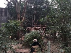 -成都泰迪熊博物馆