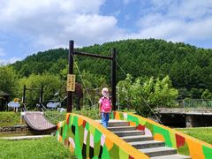 -横道河子东北虎林园
