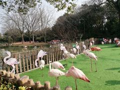 -上海野生动物园